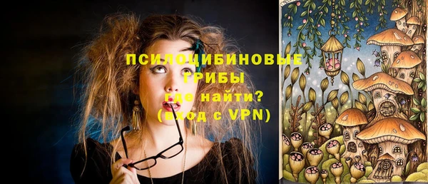 мет Алексин