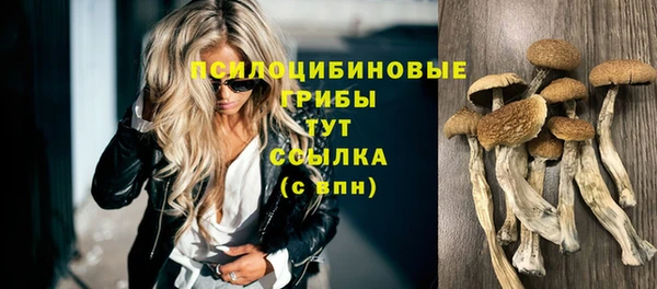 стафф Алзамай