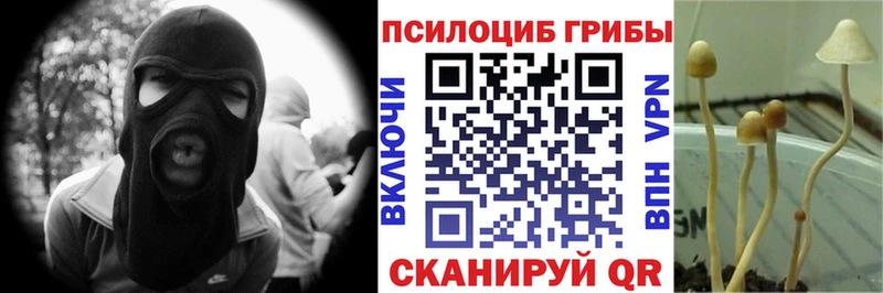 Галлюциногенные грибы Magic Shrooms хочу наркоту Пошехонье