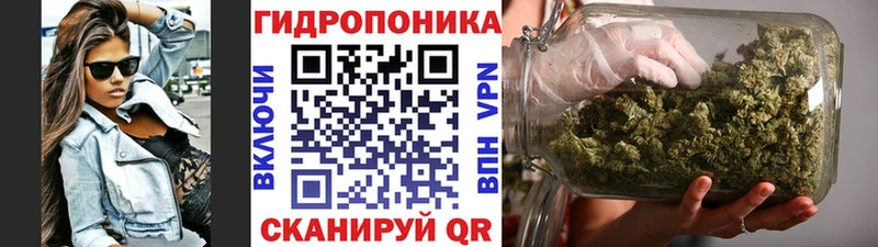 Конопля Amnesia  купить  цена  мега сайт  Пошехонье 